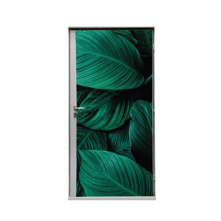 Door Wrap 80 cm Botanical Green Leaves